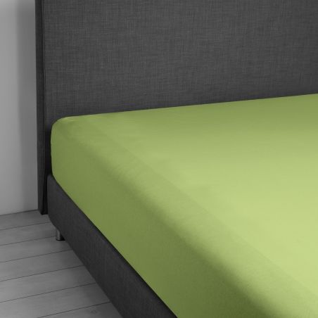 Lenzuolo sotto con angoli elastici letto Singolo Vivacolor DaunenStep Verde Salvia